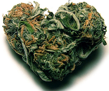 http://stopthedrugwar.org/files/marijuanaheart.jpg