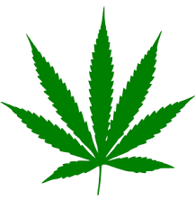 marijuana leag wiki_3.png