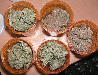 Medical marijuana legislation advances in Utah, is introduced in West Virginia. (wikimedia.org)