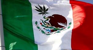 The Mexican congress is on a path to legalize marijuana ahead of a Supreme Court-imposed April deadline. (Creative Commons)