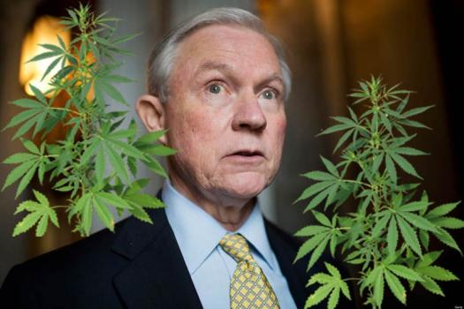 Jeff Sessions is on a lonely crusade against marijuana legalization. (freethoughtproject.org)