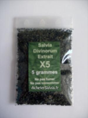 Salvia Divinorum | StoptheDrugWar.org