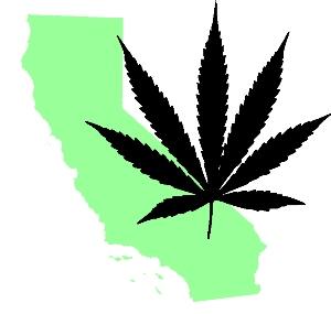 The Golden State is looking to cut marijuana taxes in a bid to boost the legal market. (Creative Commons)