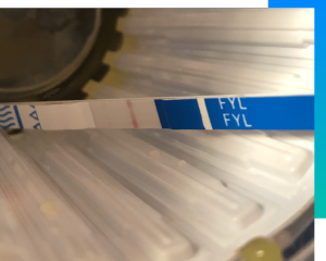 A fentanyl test strip. South Dakota just legalized them, and a bill to do the same is advancing in Kansas. (Creative Commons)