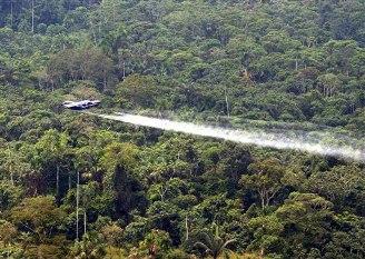spraying herbicide on the rain forest to kill coca crops (wikimedia.org)