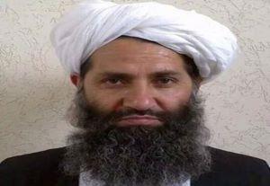 Taliban leader Mullah Hibatullah Akundzada announced on ban on cannabis cultivation Sunday. (CC)