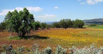 It's not always this bucolic in Riverside County (Image via Wikimedia)