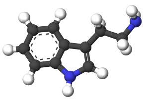 tryptamine molecule (Creative Commons)