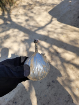 The border "bomb" turned out to be a ball stuffed with sand wrapped in duct tape. (CBP)