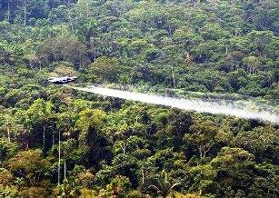 no more spraying Roundup on Colombia's coca fields (wikipedia.org)