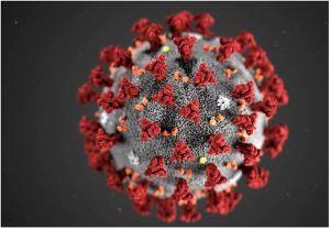 The coronavirus pandemic continues to impact drug policy. (CDC)