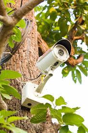 surveillance camera (shutterstock.com)