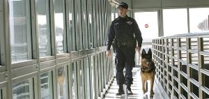 police officer with drug dog, Port Authority of New York & New Jersey