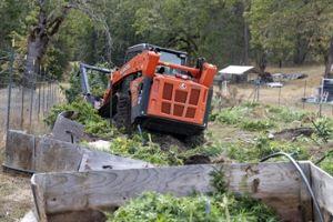 Illegal marijuana grow in Jackson County, Oregon. (Jackson County SO)