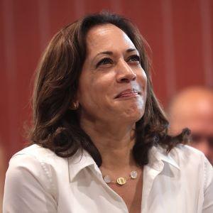 Joe Biden has selected Sen. Kamala Harris (D-CA), the sponsor of a marijuana legalization bill, as his  vice-presidential pick.