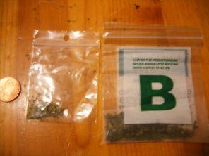 medical marijuana bags (courtesy Daniel Argo via Wikimedia)