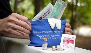 Naloxone opioid overdose reversal kit. The Oregon House has voted to expand access to them. (hr.org)