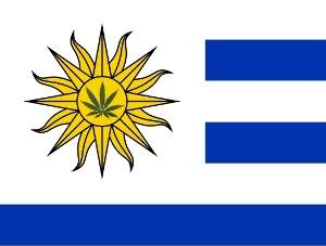 uruguay pot flag.jpg