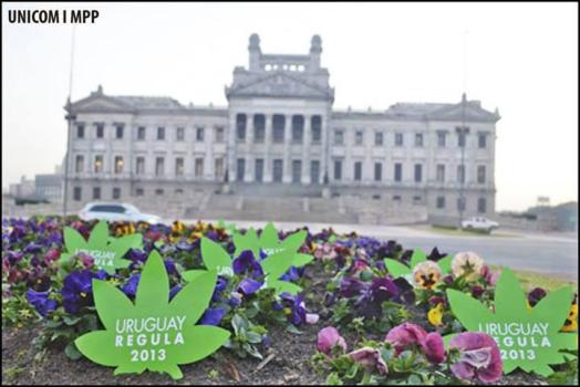 Movida Cannabica Florida Uruguay display at the Legislative Palace (facebook.com/movida.floridauruguay)