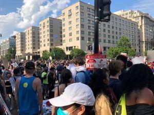 The DC natural psychedelic initiative got thousands of signatures as protesters filled the streets. (Adam Eidinger/Twitter)